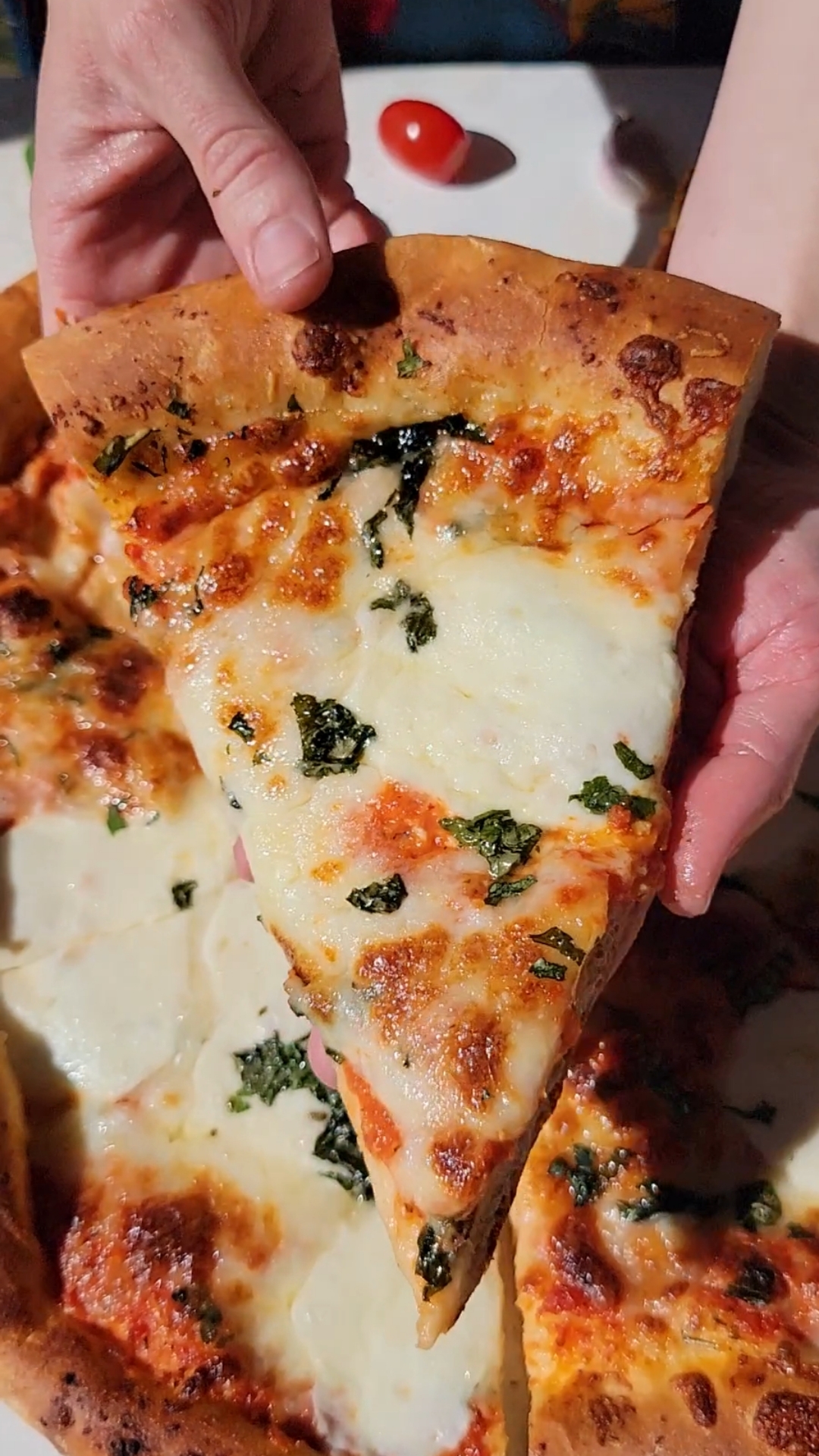 Easy Pizza Dough